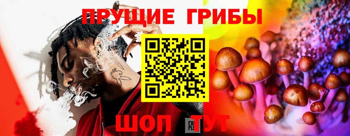 Галлюциногенные грибы Psilocybe  Вход с VPN  даркнет сайт  Елизово 